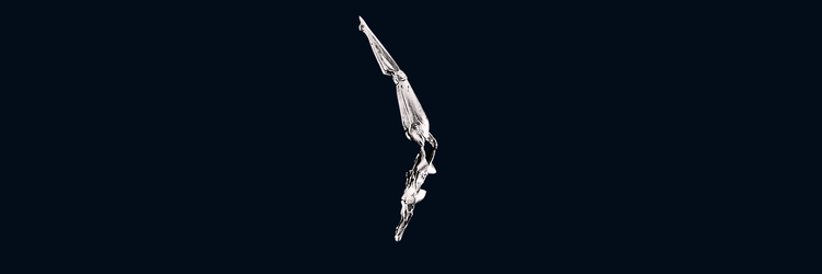 Chrome Diver